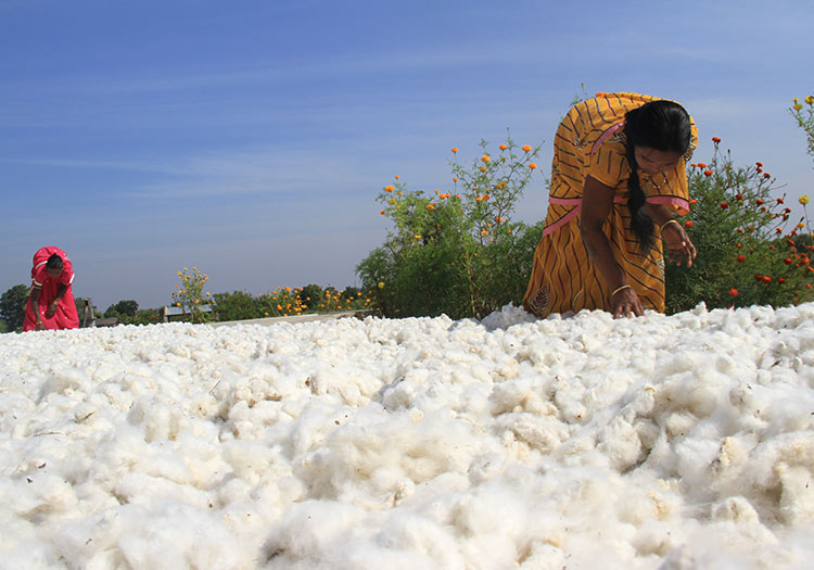 vrouwen-india