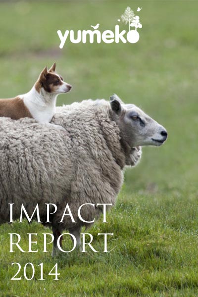 Impact Report 2014